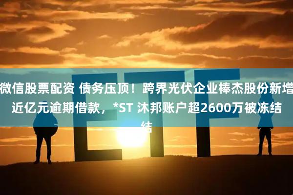 微信股票配资 债务压顶！跨界光伏企业棒杰股份新增近亿元逾期借款，*ST 沐邦账户超2600万被冻结